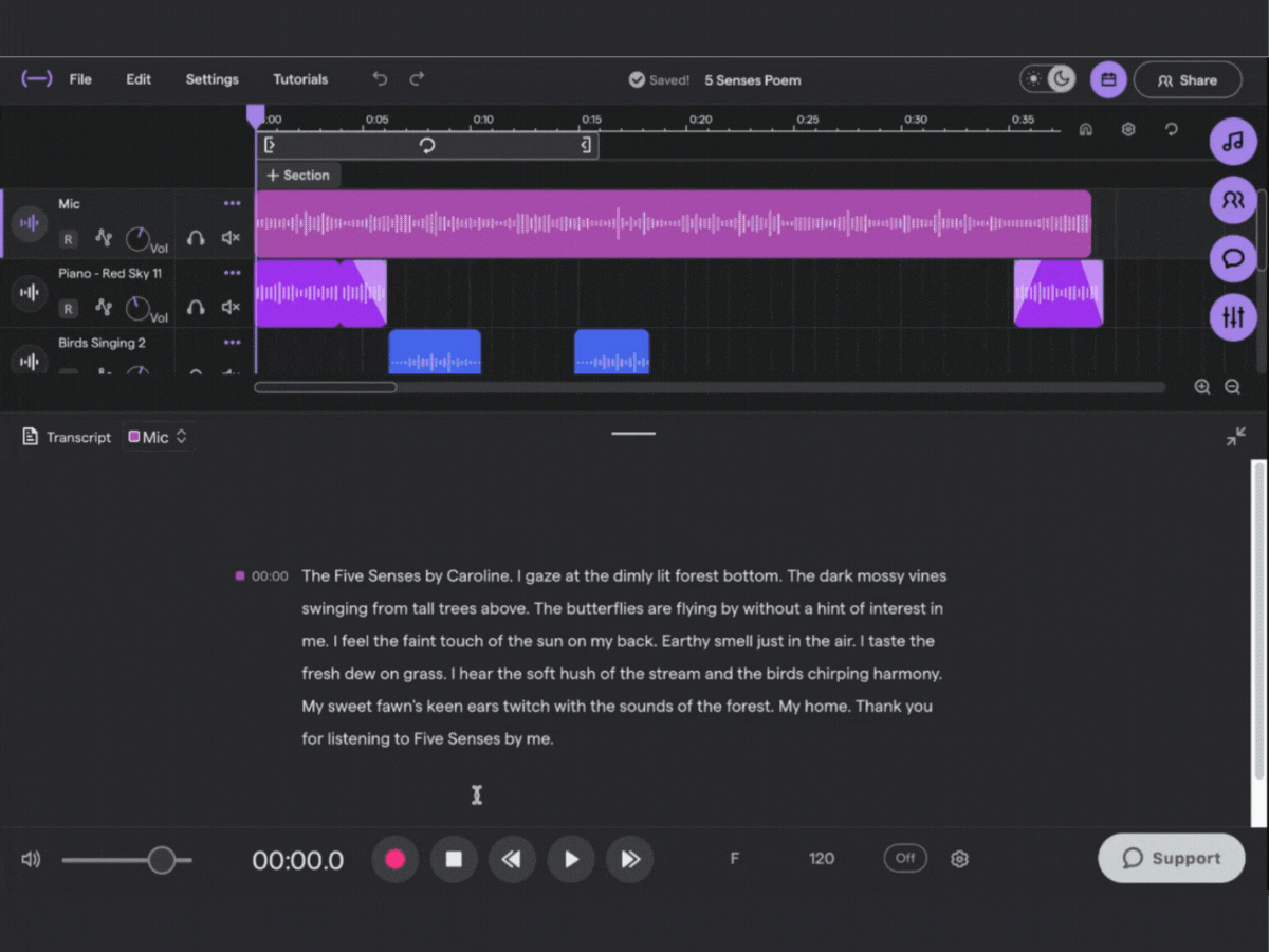 transcription gif__